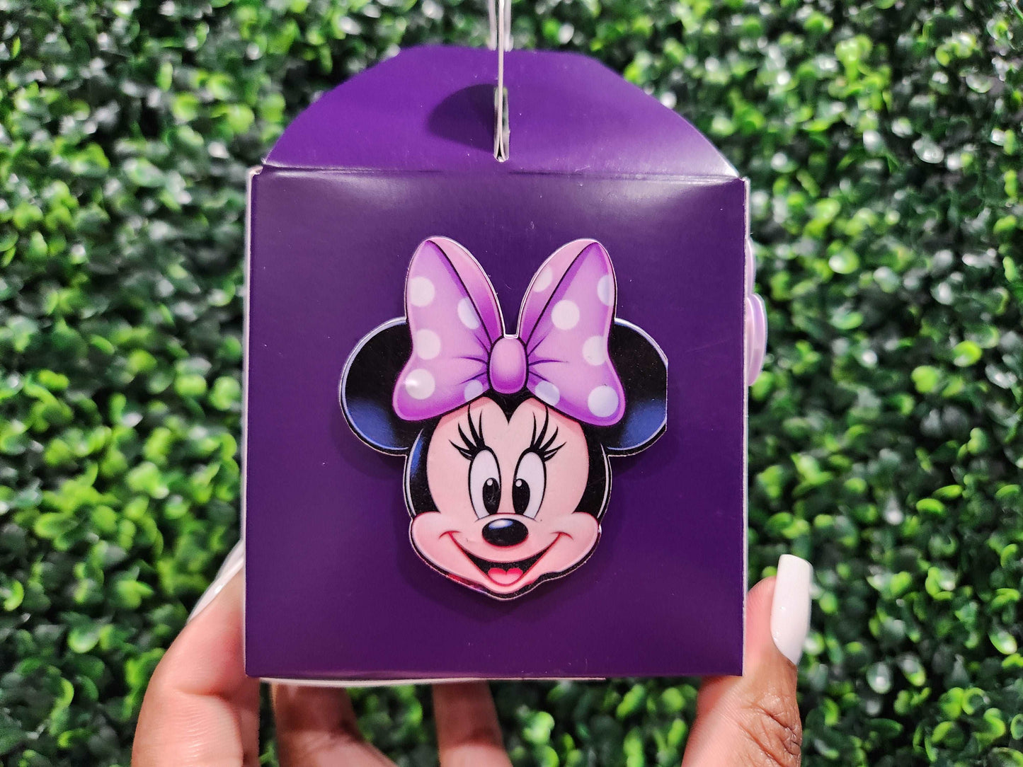 Minnie Mouse Gable Box - Elegance & Bliss By Msni Custom Creations